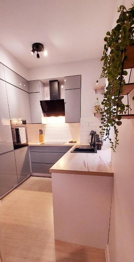 White Velvet Apartment Gorzów Wielkopolski Exterior foto